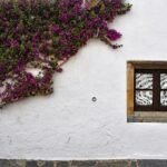 7 Expert Tips to Find the Best Landscaping Services Near Me