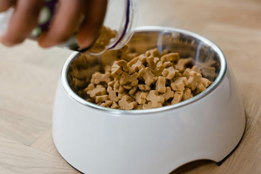 7 Powerful Reasons to Choose the Best Dog Food for Puppies