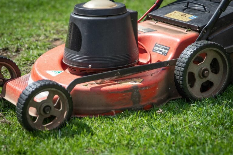 Pioneer Electric Lawn Mower 1920 Value: 7 Amazing Ways To Determine Value (Proven Guide)