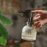 25' Garden Hose: 7 Amazing Ways To Improve Watering (Proven Guide)